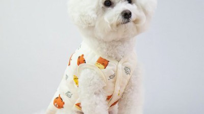 겨울맞이 득템! 🐶 따뜻한 애견누빔가디건 후기와 구매 꿀팁 대방출!